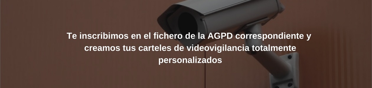 Adaptación de la Video Vigilancia a la normativa