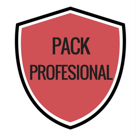 Pack Profesional Auditor LOPD
